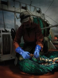 SHOWA 495 Kältebeständige Schutzhandschuhe Mit Schutz Vor Chemikalien (10 Paare In Paket), Blau -Arbeitsschutzkleidung Geschäft 55F4650F 86A5 FD93 C605 1E3ACC8553E8