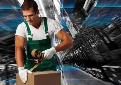 Showa 542 Schnittschutzhandschuhe Mit Beschichtung Aus Polyurethan, Schnittschutz Klasse B (10 Paare In Paket), Weiß 10 Showa 542 Schnittschutzhandschuhe Mit Beschichtung Aus Polyurethan, Schnittschutz Klasse B (10 Paare In Paket), Weiß -Arbeitsschutzkleidung Geschäft F142F808 CF73 9798 4BF5 9EC230A145F6